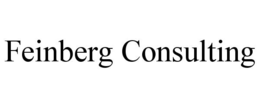 FEINBERG CONSULTING