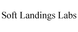 SOFT LANDINGS LABS