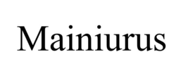 MAINIURUS