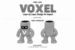 VOXEL V