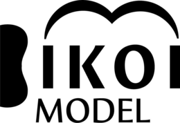 BIKOI MODEL