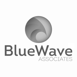 BLUEWAVE ASSOCIATES