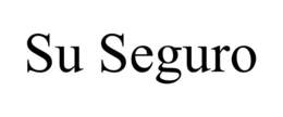 SU SEGURO