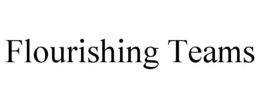 FLOURISHING TEAMS