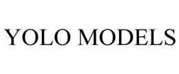YOLO MODELS