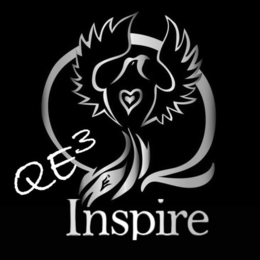 Q QE3 INSPIRE
