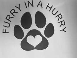 FURRY IN A HURRY