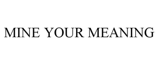 MINE YOUR MEANING