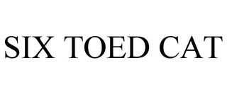 SIX TOED CAT