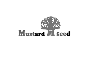 MUSTARD SEED