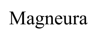 MAGNEURA