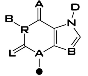 BRAND LAB