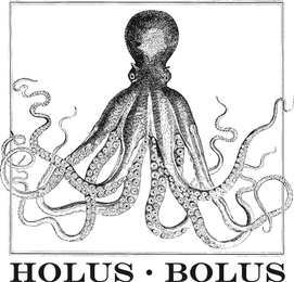 HOLUS · BOLUS