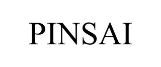 PINSAI