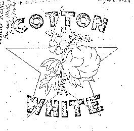 COTTON WHITE
