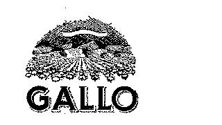 GALLO