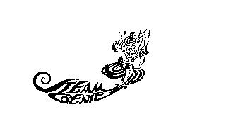 STEAM GENIE