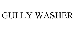 GULLY WASHER