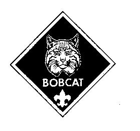 BOBCAT