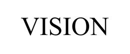 VISION