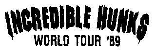 INCREDIBLE HUNKS WORLD TOUR '89