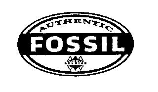 AUTHENTIC FOSSIL GENUINE