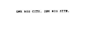 ONE BIG CITY. ONE BIG SITE.