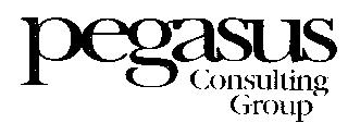 PEGASUS CONSULTING GROUP