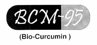 BCM- 95 ( BIO CURCUMIN)