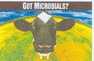 GOT MICROBIALS?