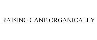 RAISING CANE ORGANICALLY