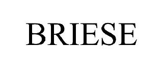 BRIESE