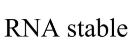 RNA STABLE