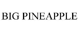BIG PINEAPPLE