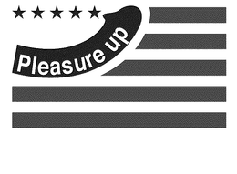 PLEASURE UP