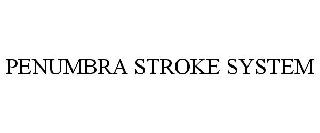 PENUMBRA STROKE SYSTEM