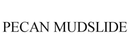 PECAN MUDSLIDE