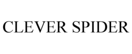 CLEVER SPIDER