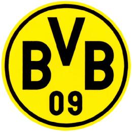 BVB 09