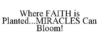 WHERE FAITH IS PLANTED...MIRACLES CAN BLOOM!