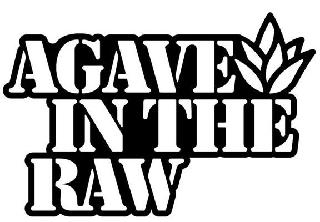 AGAVE IN THE RAW