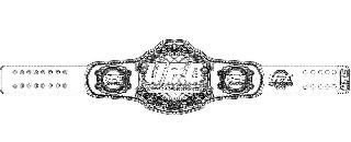 UFC CHAMPION UFC ULTIMATE FIGHTING CHAMPIONSHIP UFC CHAMPION UFC