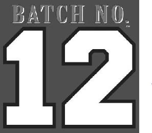 BATCH NO.12