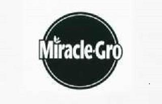 MIRACLE-GRO