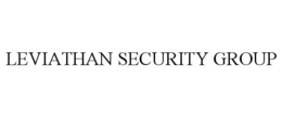 LEVIATHAN SECURITY GROUP