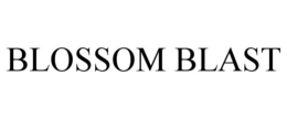 BLOSSOM BLAST