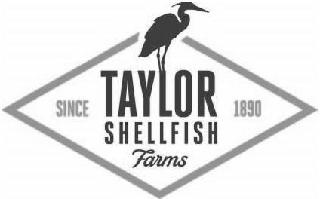 TAYLOR SHELLFISH FARMS SINCE 1890