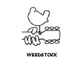 WEEDSTOCK