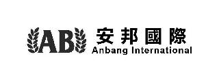 AB ANBANG INTERNATIONAL