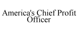AMERICA'S CHIEF PROFIT OFFICER